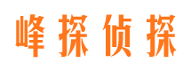 青云谱市调查公司